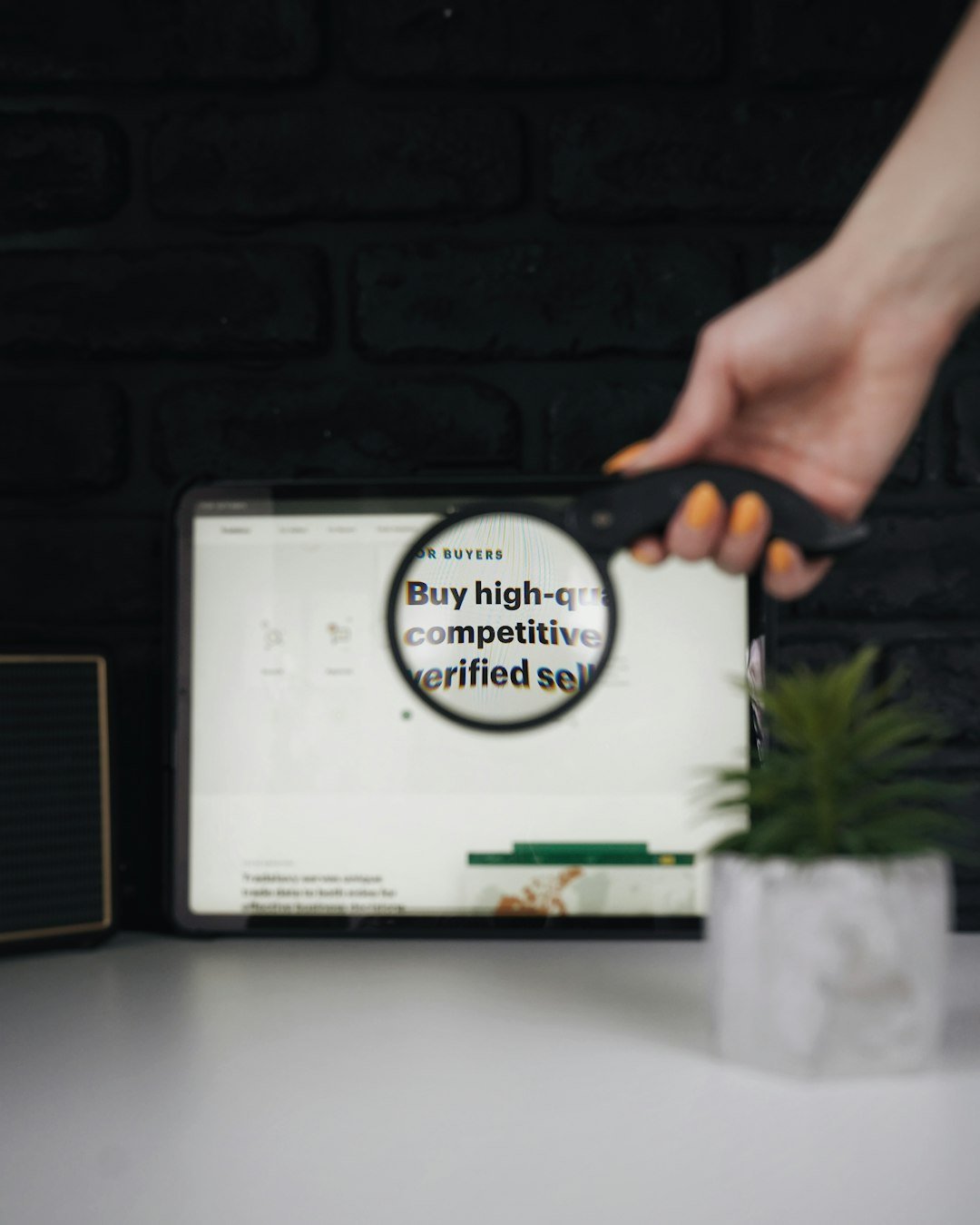 Brand reputation monitoring and search visibility